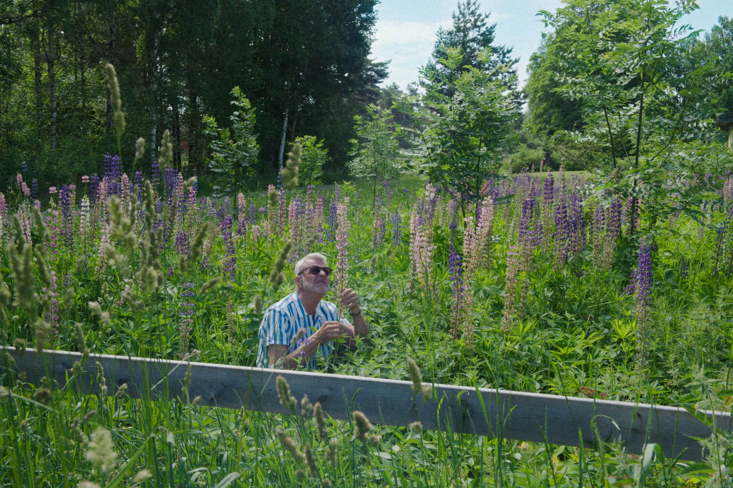 Elvy customer in a lupine meadow by a country home