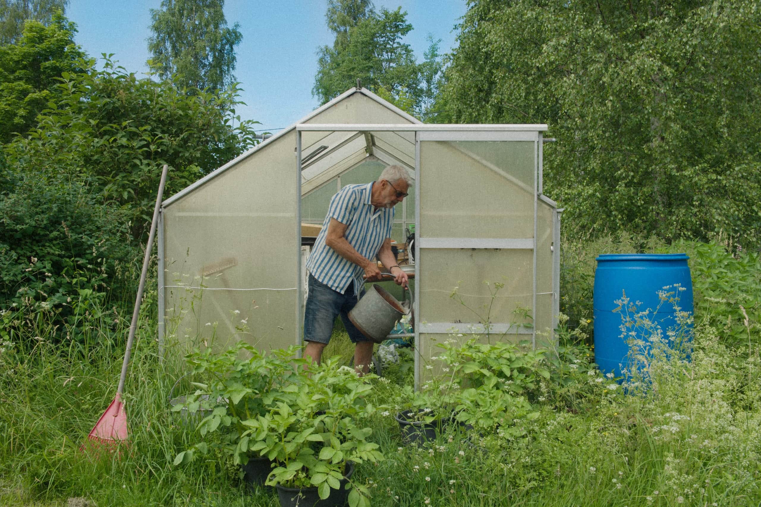 Växthus i en lantlig trädgård hos en Elvy-kund